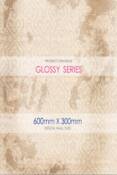 GLOSSY- 600 x 300 - DIGITAL WALL TILES