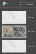 30x60 wall tiles spl application 17