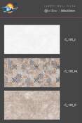 30x60 wall tiles spl application 22