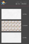 30x60 wall tiles spl application 24