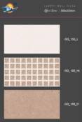 30x60 wall tiles spl application 31