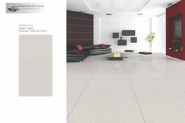 60x120 Full Body Vitrified 03