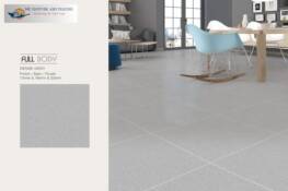 60x60 Full Body Vitrified 3