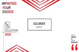 GLOSSY- 600 x 600